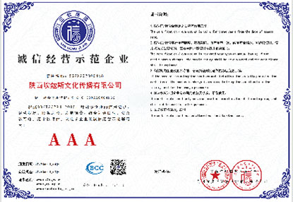 企业信用等级证书006