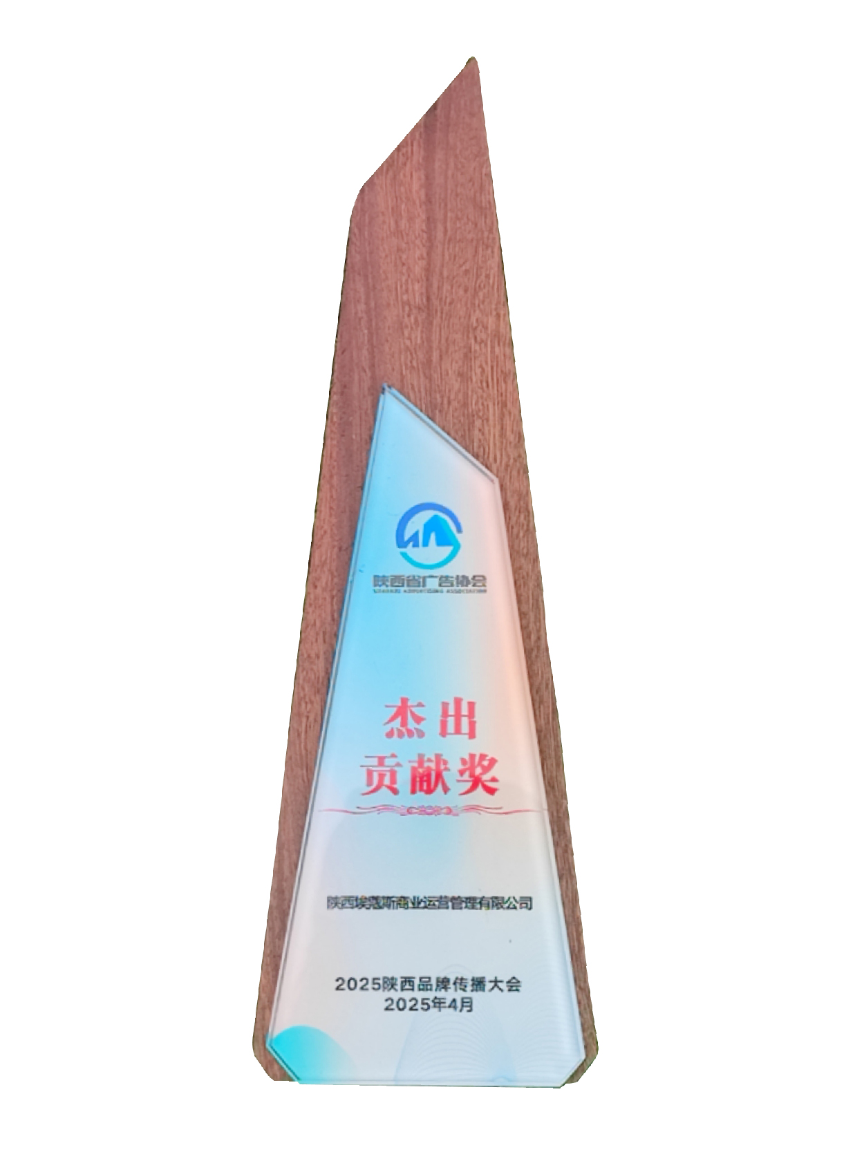 2025年陕西省广告协会荣誉资质